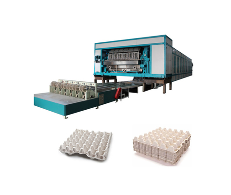 5000-7000pcs/H دستگاه تولید سینی تخم مرغ با خط خشک کردن چند